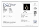 RD SIXP001T (WITHOUT CHAIN)