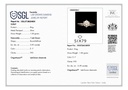 RD SIXLR008A1