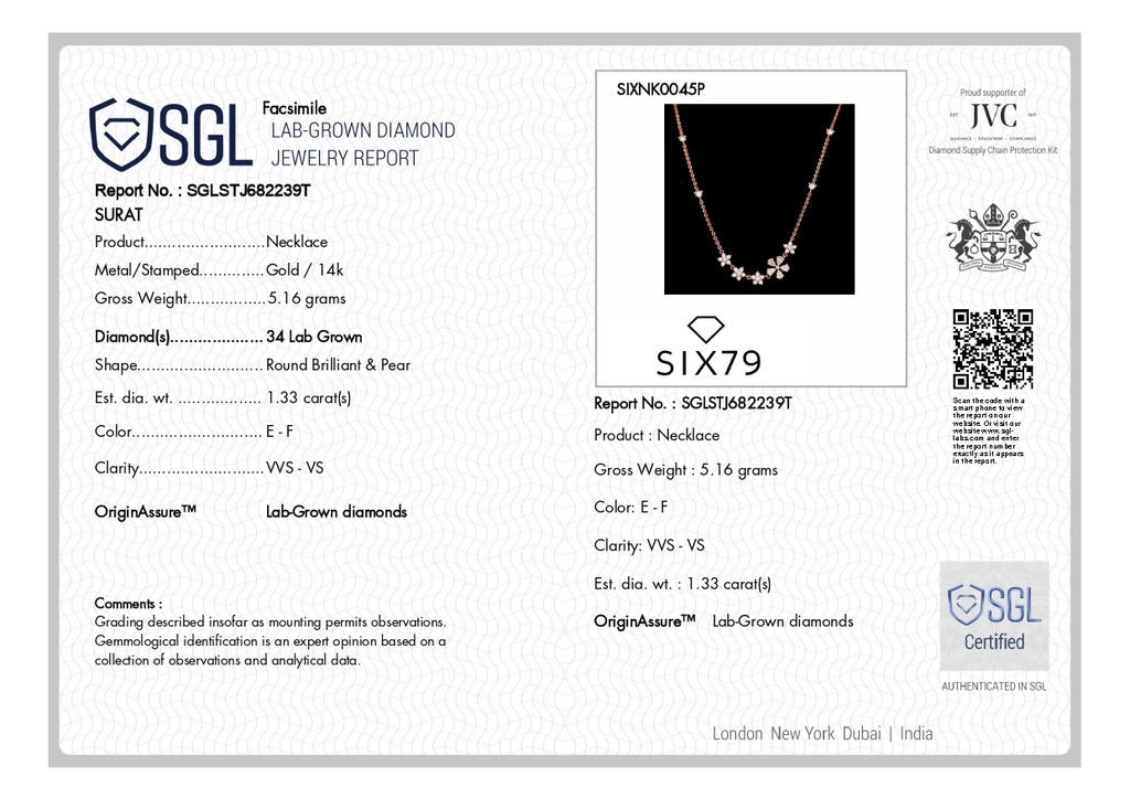 SIXNK0045P (WITH CHAIN)