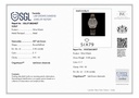 Watch (OBL/K)