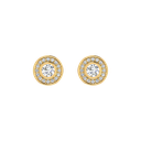 AL1ZEC1ST011.4.yellow