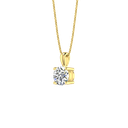 RDPN00115.1.yellow