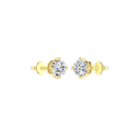 RDER00020.1.yellow
