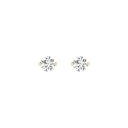 RDER00022.5.yellow