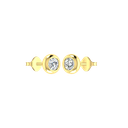 RDER00024.1.yellow
