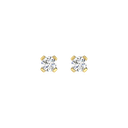 RDER00045.5.yellow