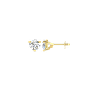 RDER00046.4.yellow