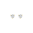 RDER00046.5.yellow