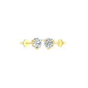 RDER00046.1.yellow
