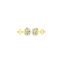 RDER00059.1.yellow