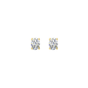 RDER00075.5.yellow